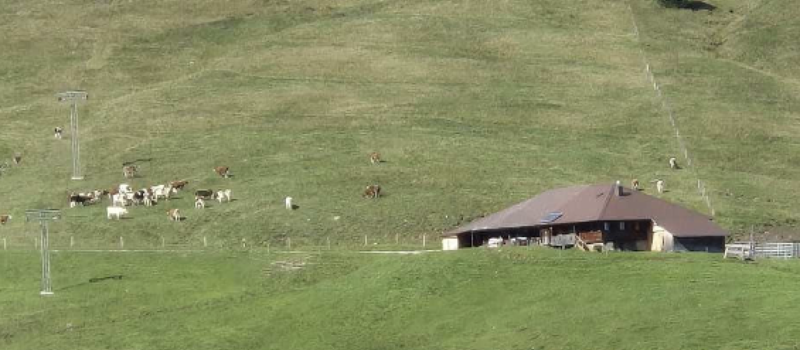 Alphütte der Alp Lischboden